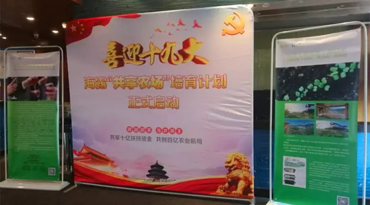 ��ҳ- �ڲ���������Ϊ��,רҵ����!