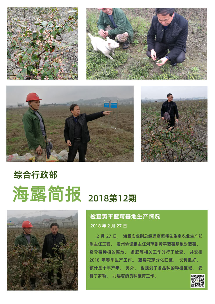 ��ҳ- �ڲ���������Ϊ��,רҵ����!