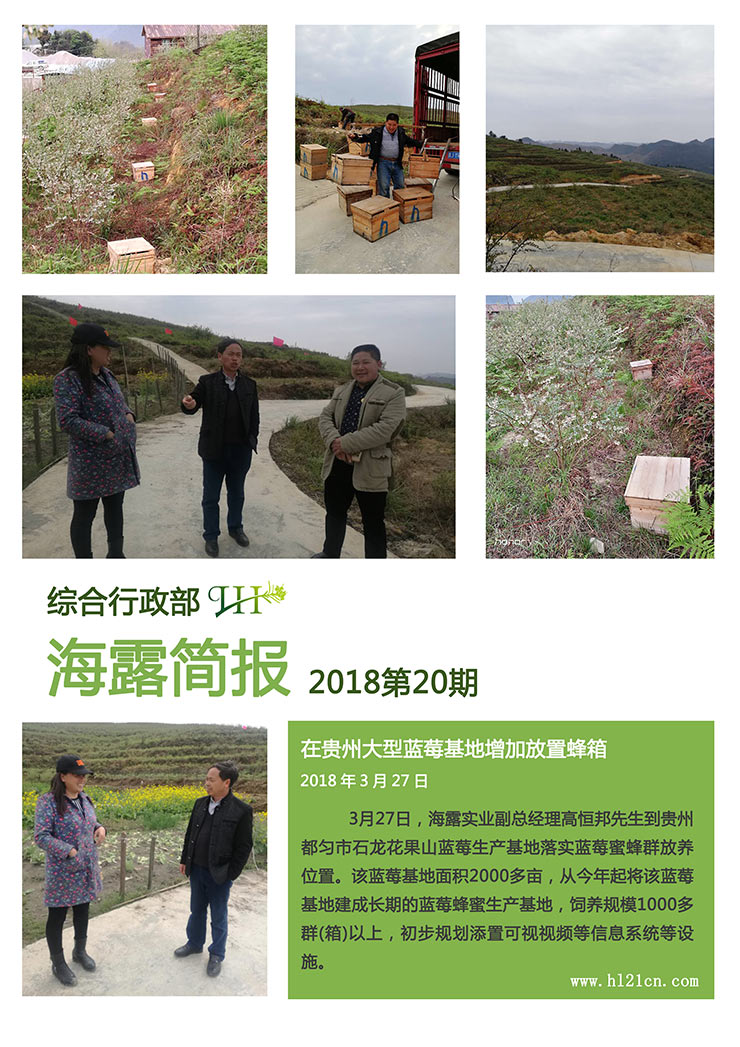 ��ҳ- �ڲ���������Ϊ��,רҵ����!