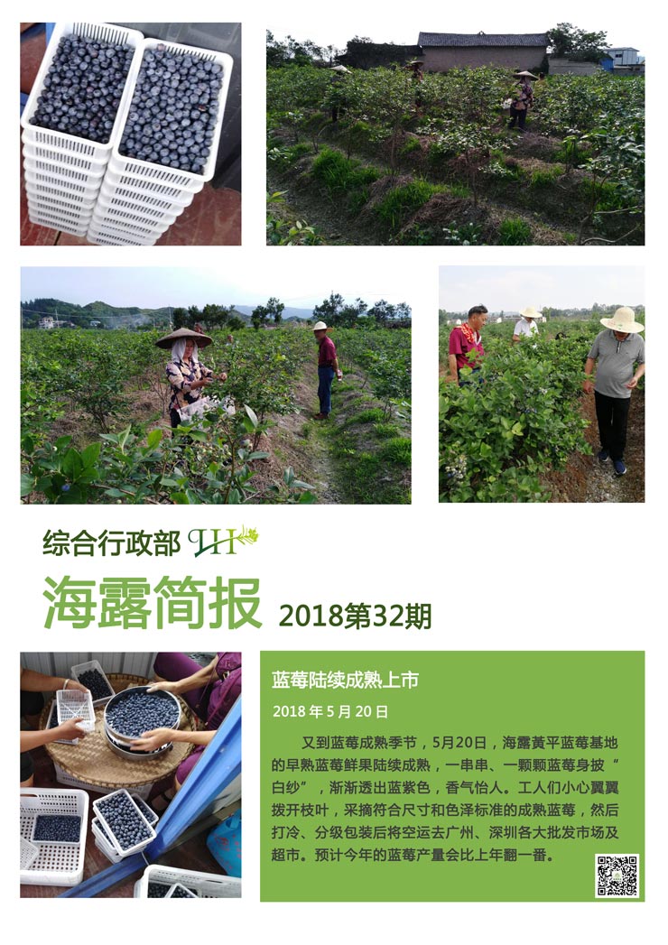 ��ҳ- �ڲ���������Ϊ��,רҵ����!