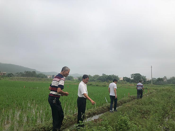 ��ҳ- �ڲ���������Ϊ��,רҵ����!