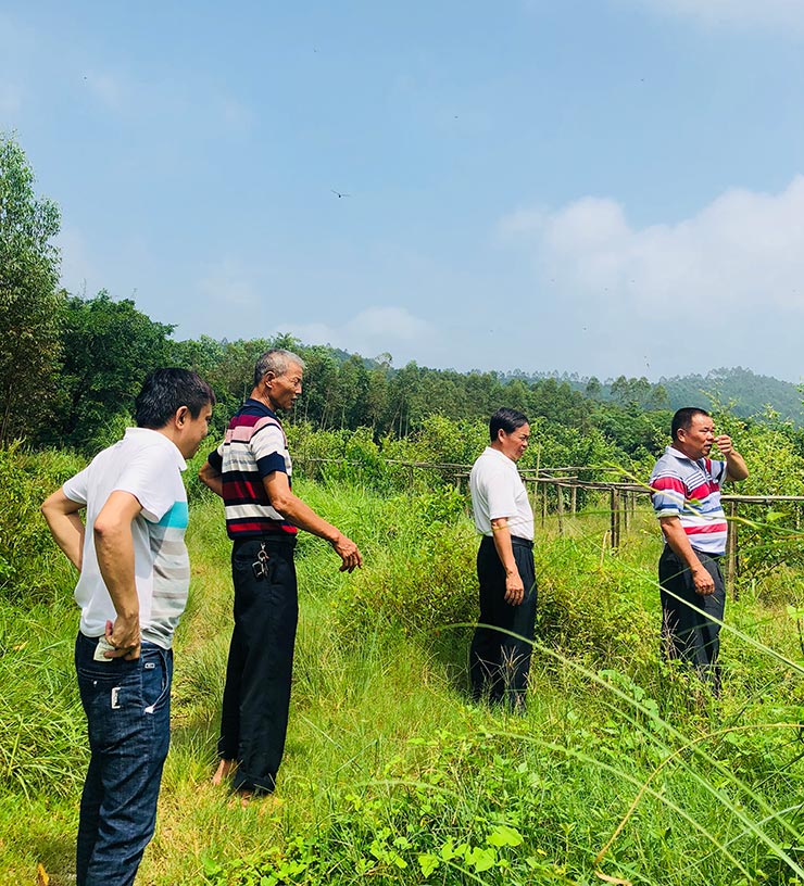 ��ҳ- �ڲ���������Ϊ��,רҵ����!