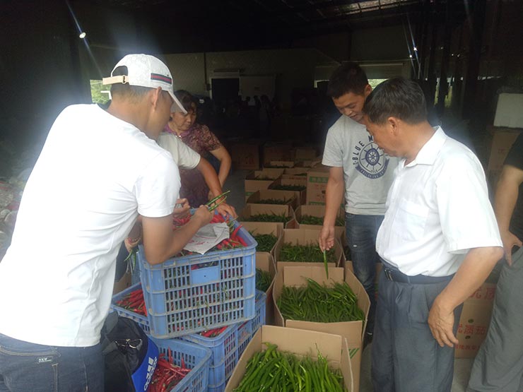 ��ҳ- �ڲ���������Ϊ��,רҵ����!