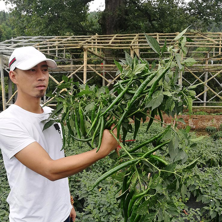 ��ҳ- �ڲ���������Ϊ��,רҵ����!