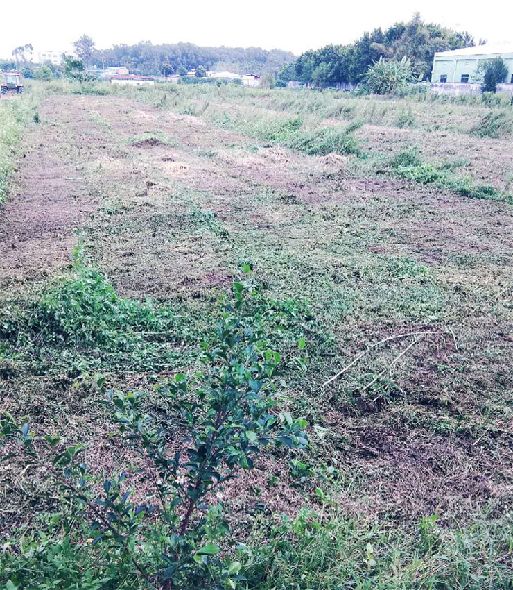 ��ҳ- �ڲ���������Ϊ��,רҵ����!