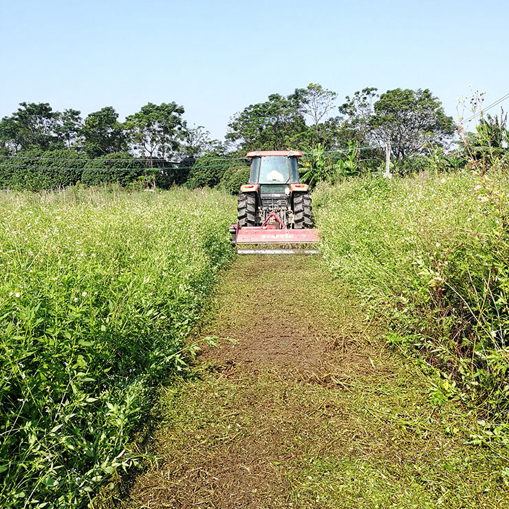 ��ҳ- �ڲ���������Ϊ��,רҵ����!