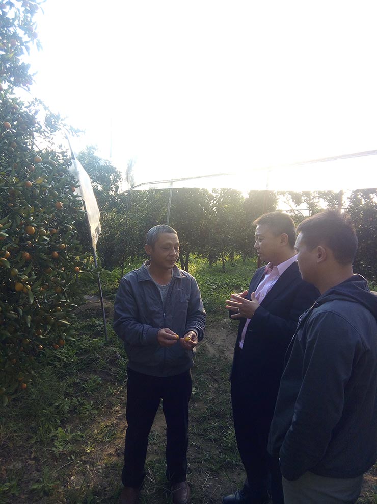 ��ҳ- �ڲ���������Ϊ��,רҵ����!