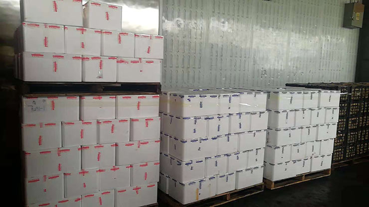 ��ҳ- �ڲ���������Ϊ��,רҵ����!