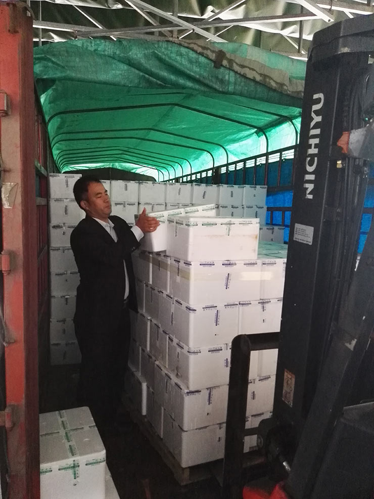 ��ҳ- �ڲ���������Ϊ��,רҵ����!