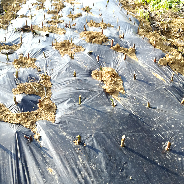 ��ҳ- �ڲ���������Ϊ��,רҵ����!