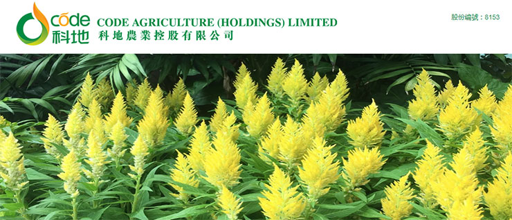 ��ҳ- �ڲ���������Ϊ��,רҵ����!