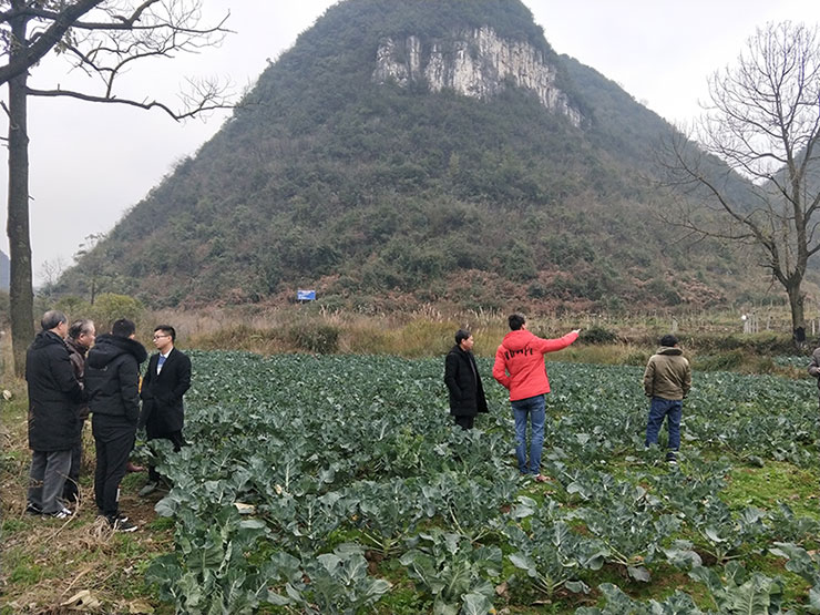 ��ҳ- �ڲ���������Ϊ��,רҵ����!