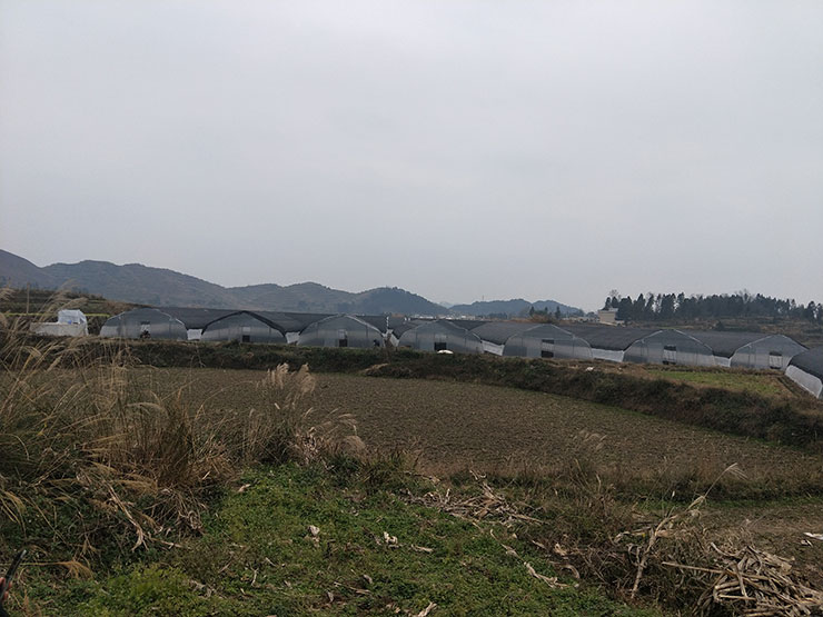 ��ҳ- �ڲ���������Ϊ��,רҵ����!