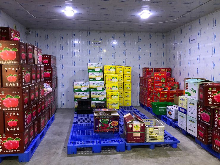 ��ҳ- �ڲ���������Ϊ��,רҵ����!