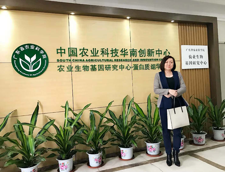 ��ҳ- �ڲ���������Ϊ��,רҵ����!