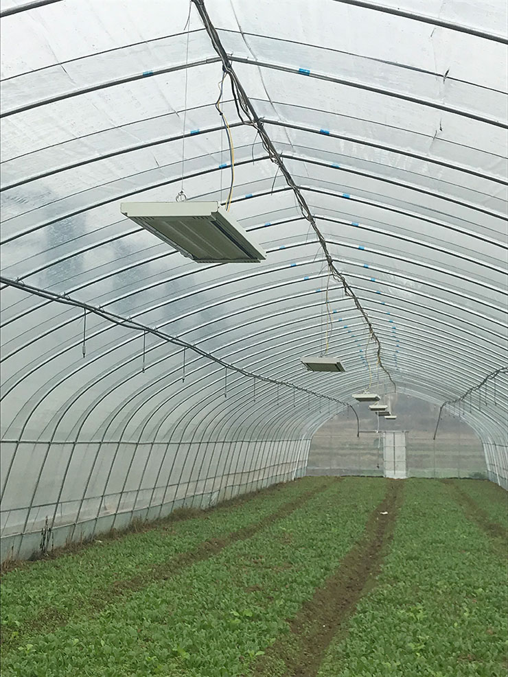 ��ҳ- �ڲ���������Ϊ��,רҵ����!