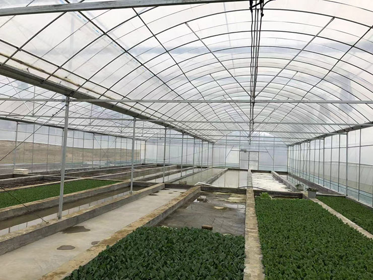 ��ҳ- �ڲ���������Ϊ��,רҵ����!