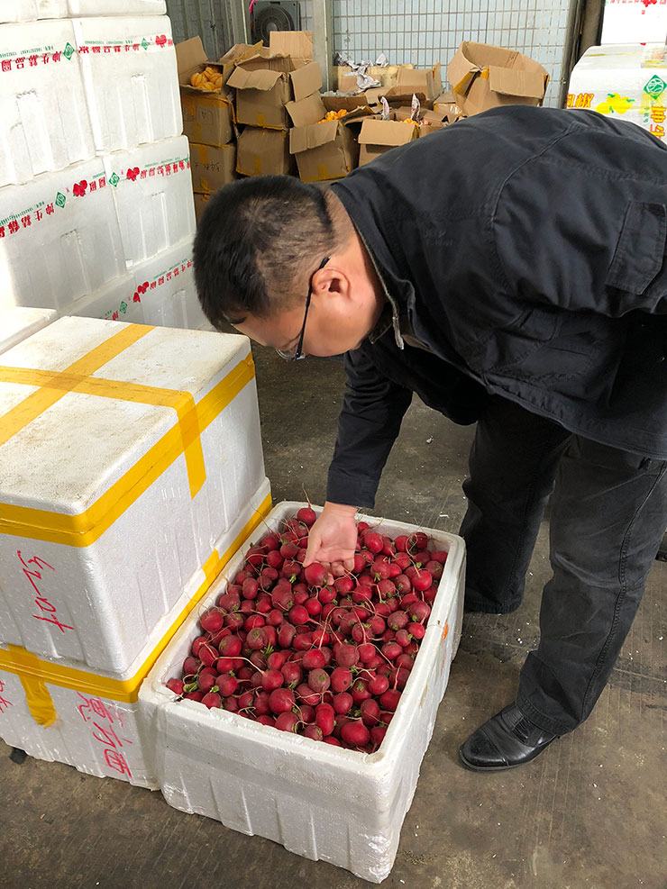 ��ҳ- �ڲ���������Ϊ��,רҵ����!