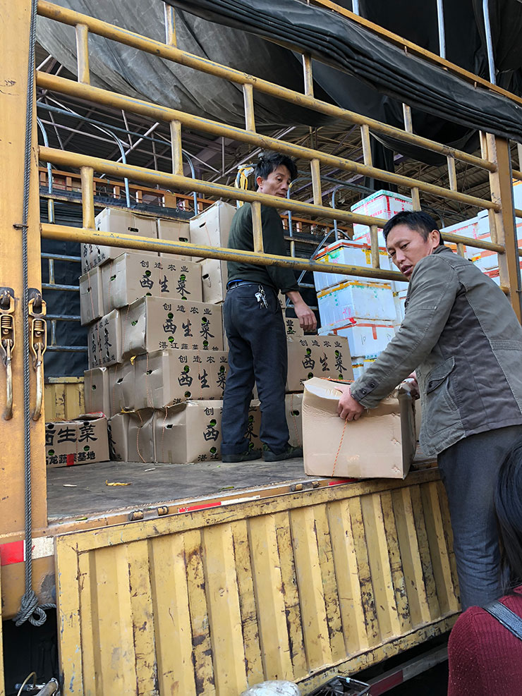 ��ҳ- �ڲ���������Ϊ��,רҵ����!