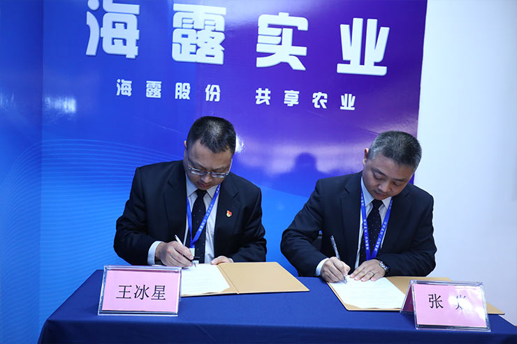 ��ҳ- �ڲ���������Ϊ��,רҵ����!