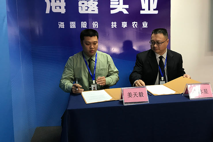 ��ҳ- �ڲ���������Ϊ��,רҵ����!