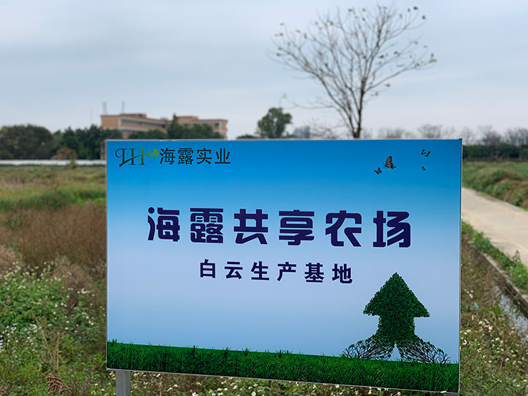 ��ҳ- �ڲ���������Ϊ��,רҵ����!