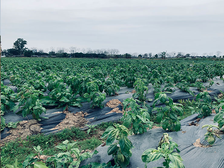 ��ҳ- �ڲ���������Ϊ��,רҵ����!