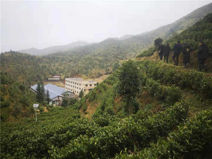 ��ҳ- �ڲ���������Ϊ��,רҵ����!