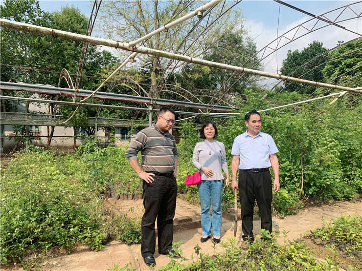 ��ҳ- �ڲ���������Ϊ��,רҵ����!