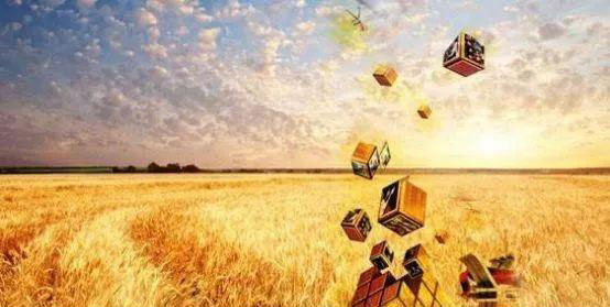 ��ҳ- �ڲ���������Ϊ��,רҵ����!