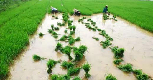 ��ҳ- �ڲ���������Ϊ��,רҵ����!