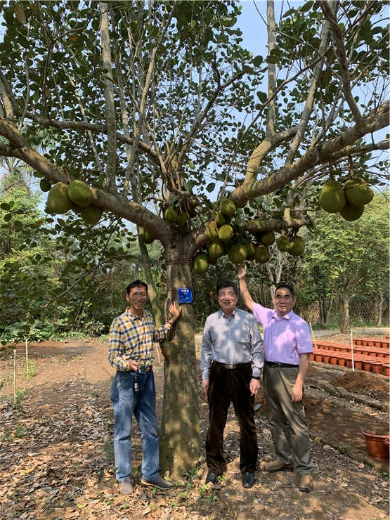 ��ҳ- �ڲ���������Ϊ��,רҵ����!