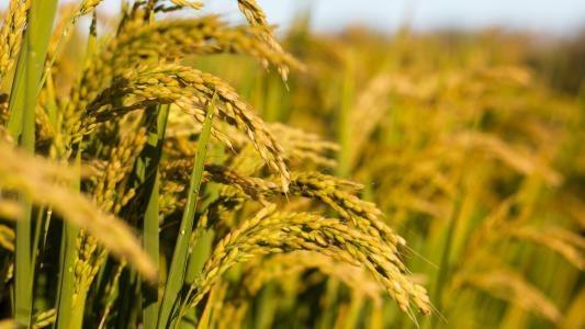 ��ҳ- �ڲ���������Ϊ��,רҵ����!