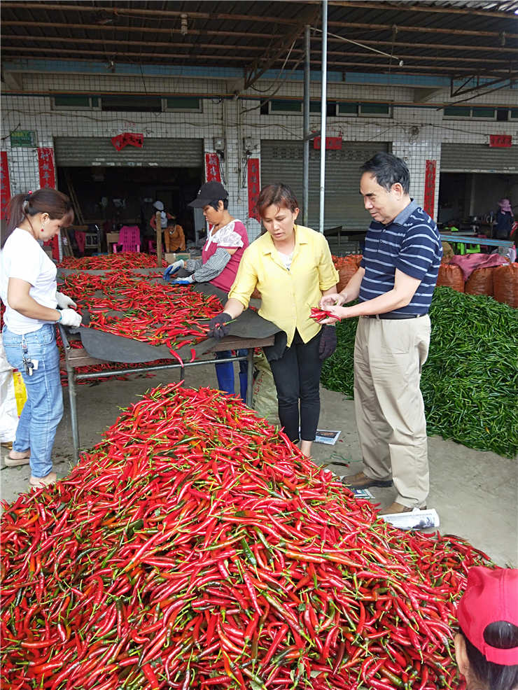 ��ҳ- �ڲ���������Ϊ��,רҵ����!