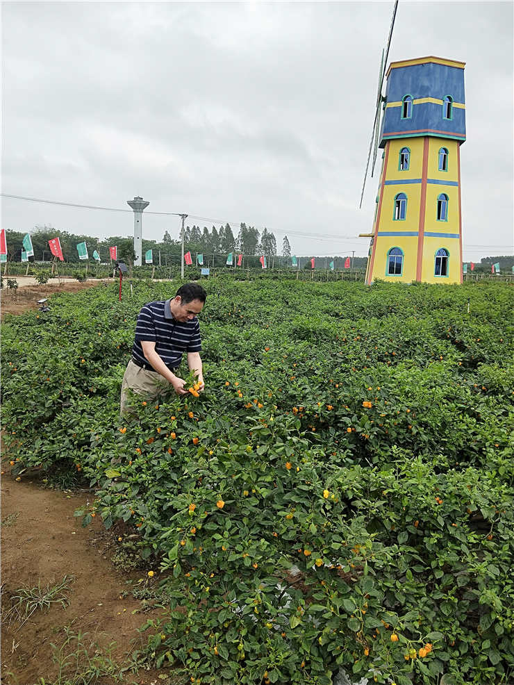 ��ҳ- �ڲ���������Ϊ��,רҵ����!