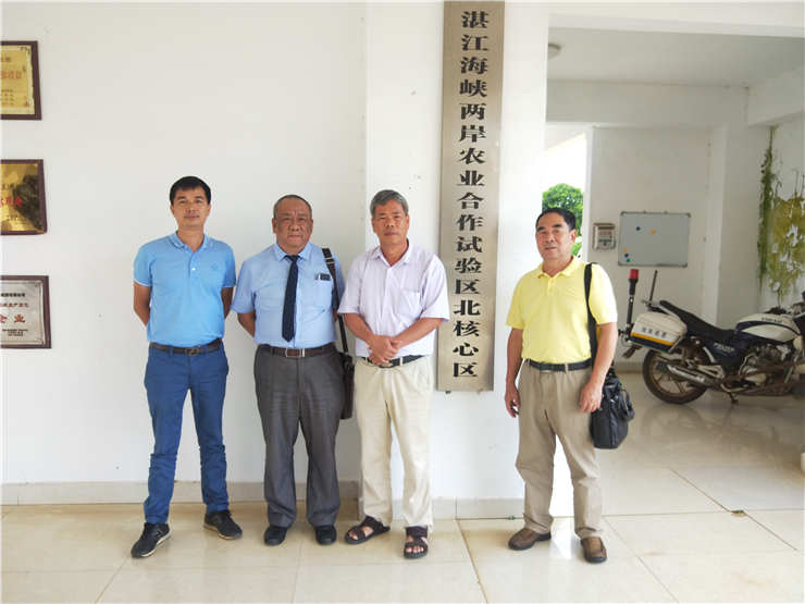 ��ҳ- �ڲ���������Ϊ��,רҵ����!