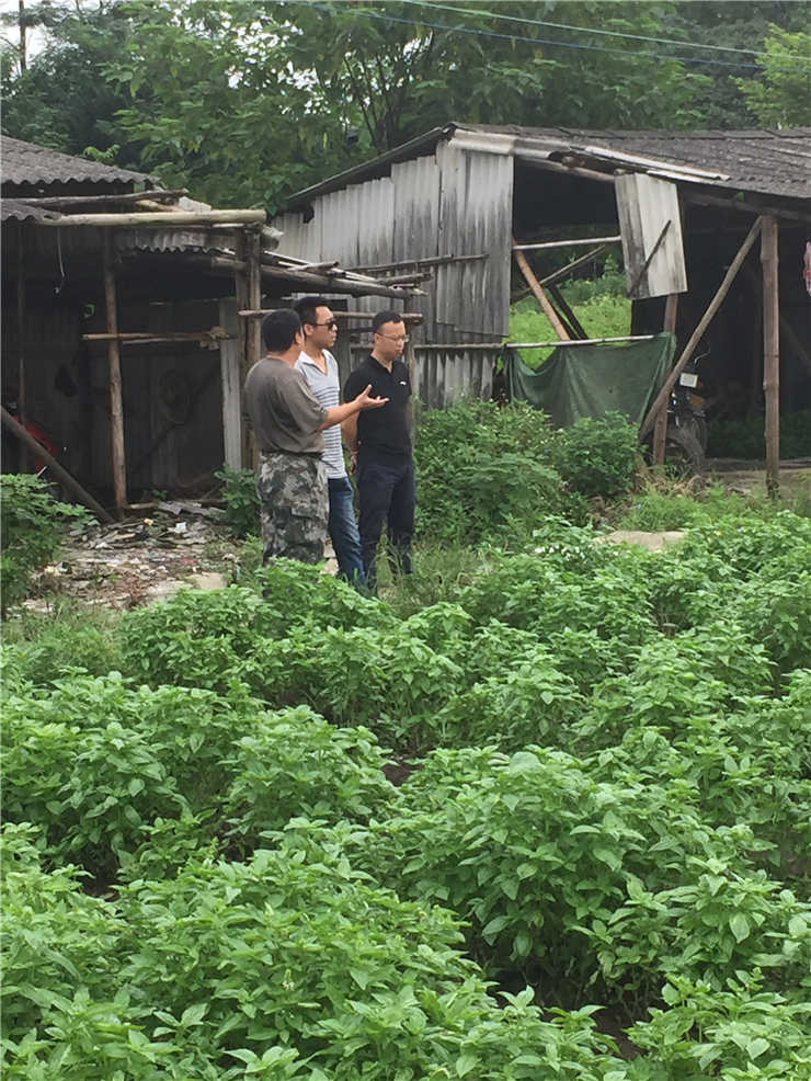 ��ҳ- �ڲ���������Ϊ��,רҵ����!