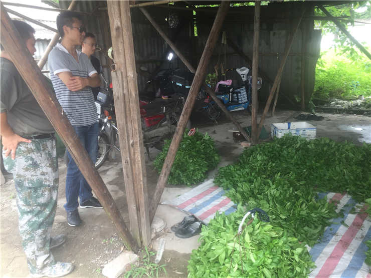 ��ҳ- �ڲ���������Ϊ��,רҵ����!