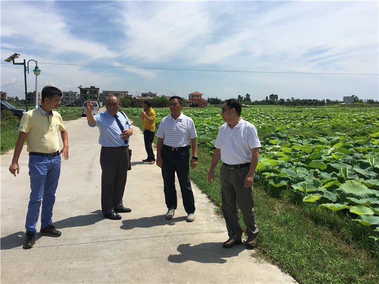 ��ҳ- �ڲ���������Ϊ��,רҵ����!