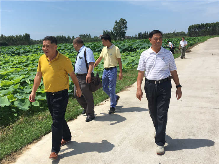 ��ҳ- �ڲ���������Ϊ��,רҵ����!