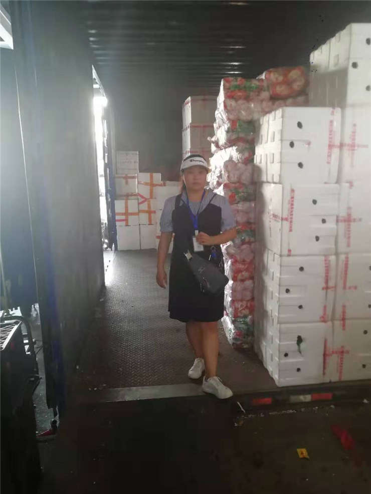 ��ҳ- �ڲ���������Ϊ��,רҵ����!