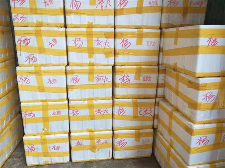 ��ҳ- �ڲ���������Ϊ��,רҵ����!