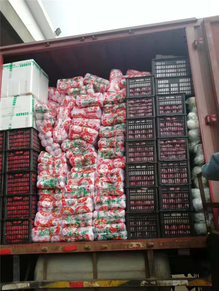 ��ҳ- �ڲ���������Ϊ��,רҵ����!