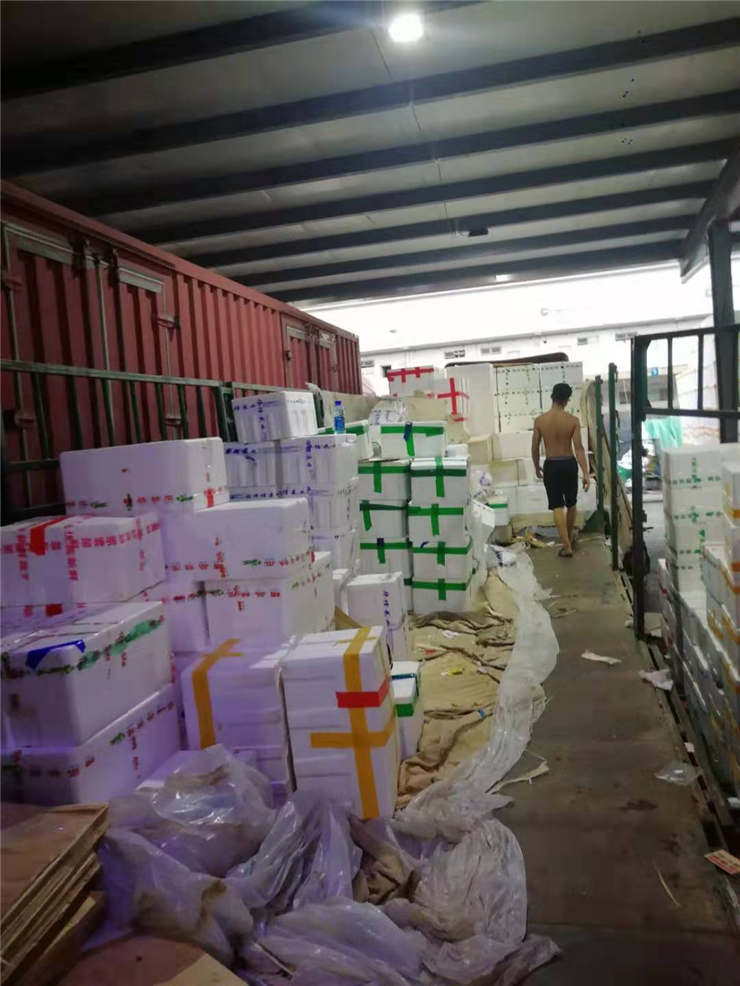 ��ҳ- �ڲ���������Ϊ��,רҵ����!