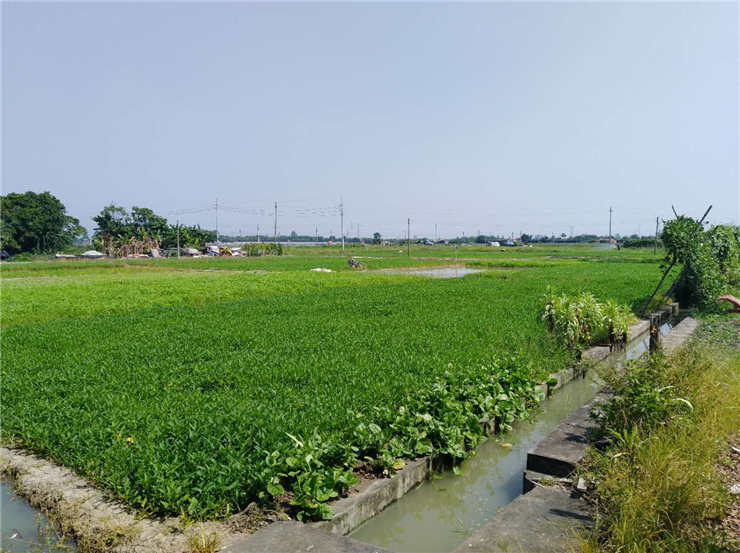 ��ҳ- �ڲ���������Ϊ��,רҵ����!