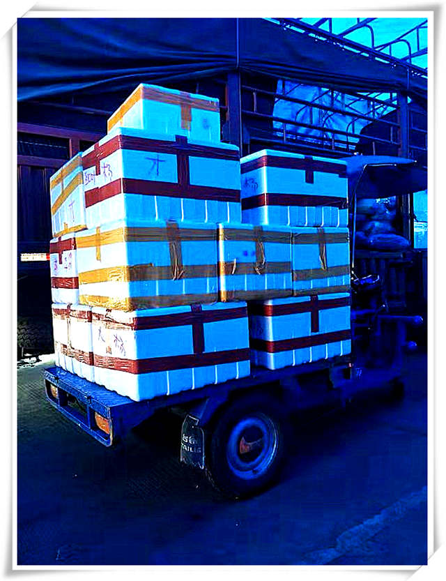 ��ҳ- �ڲ���������Ϊ��,רҵ����!