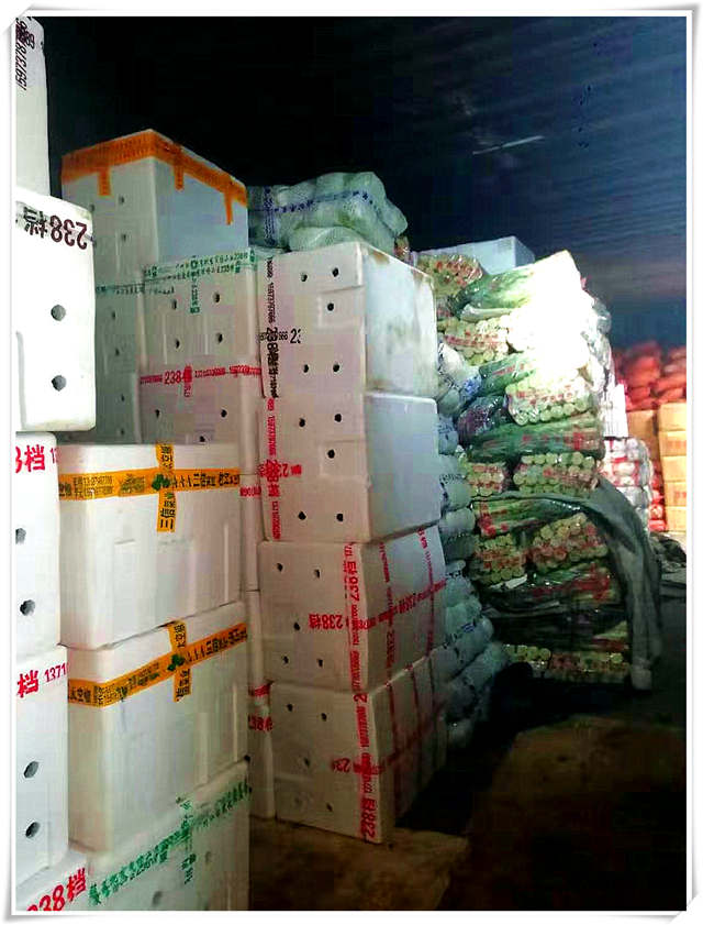 ��ҳ- �ڲ���������Ϊ��,רҵ����!