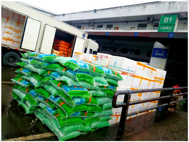 ��ҳ- �ڲ���������Ϊ��,רҵ����!