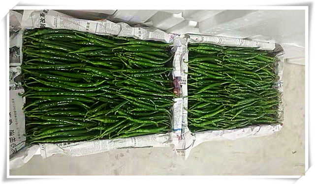 ��ҳ- �ڲ���������Ϊ��,רҵ����!