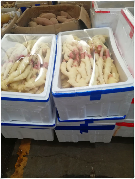 ��ҳ- �ڲ���������Ϊ��,רҵ����!